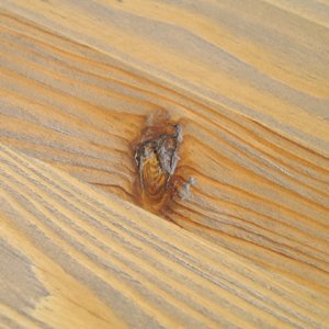 MOSH　ビアン　ダイニング　テーブル　ライノ家具店