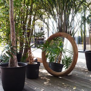 MOSH モッシュ ラウンド ミラー レーゲン Regen ライノ家具店