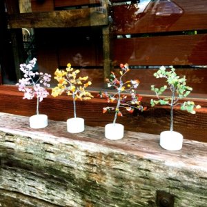 宝の木(ストーンツリー)　ライノ家具店