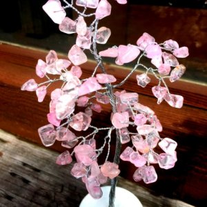 宝の木(ストーンツリー)　ピンク　ライノ家具店