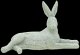 アニマルオブジェ ダリア　Animal Object ダリア　W280　ウサギ