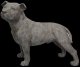 アニマルオブジェ ブル・テリア　Animal Object ブル・テリア　W715　犬