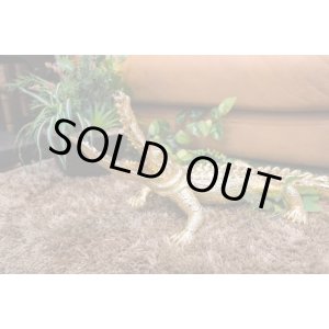 画像: クロコダイル L　Animal Object　W280　ワニ