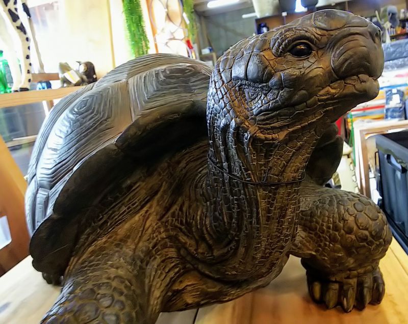 アニマルオブジェ　ガラパゴスカメ　FRP　turtle　ライノ家具店